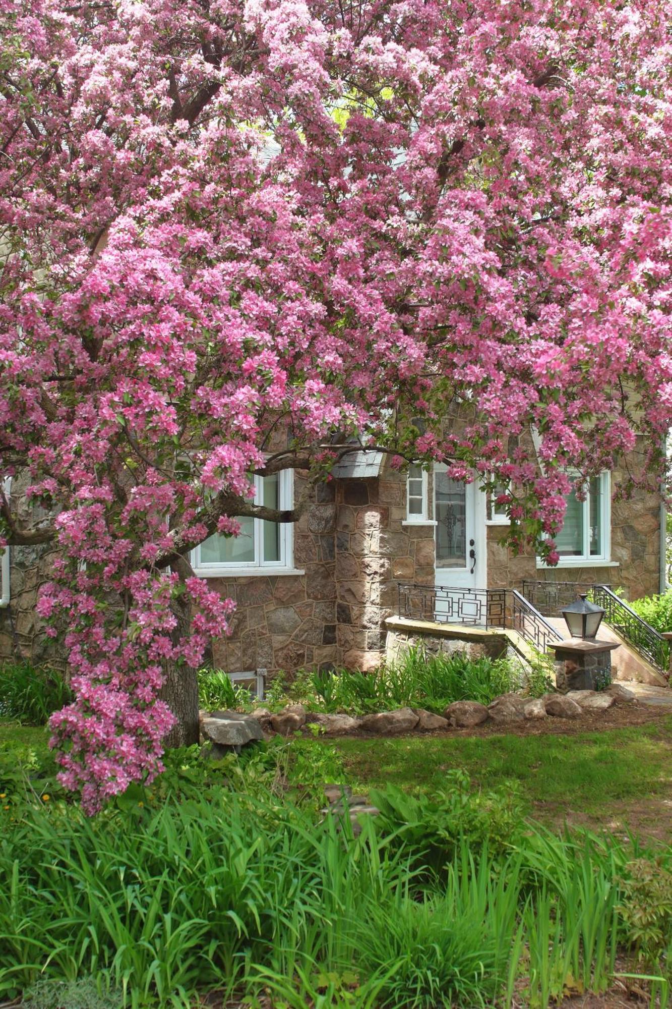 Rester Vivant Chambres D'Hotes Сен-Жан-Порт-Жоли Екстериор снимка
